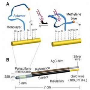 Device to measure metabolism