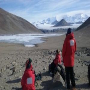 How organisms in Antarctica survive?