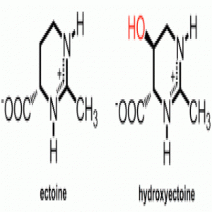 osmoregulation