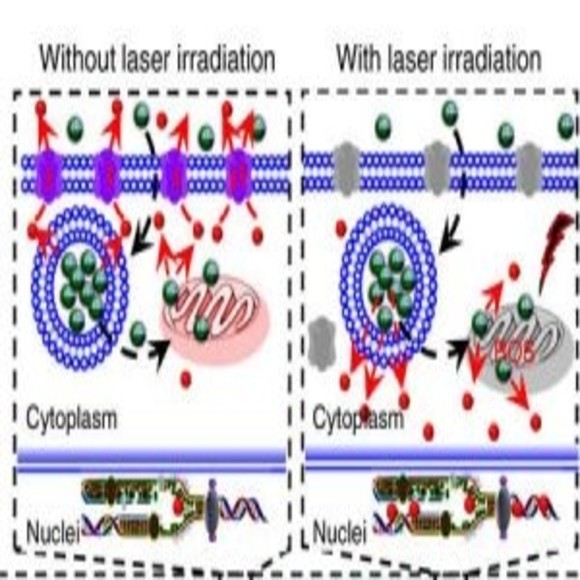 MITOCHONDRIA CANCER RESEARCH visual data 8