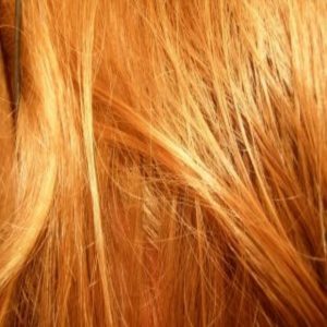 How is hair color determined?