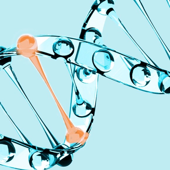 gene edit