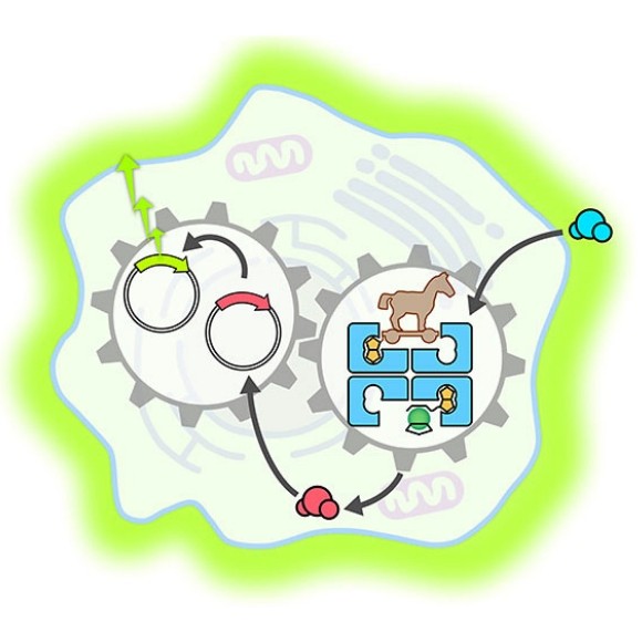 Artificial Enzymes and Catalyst BioTechniques