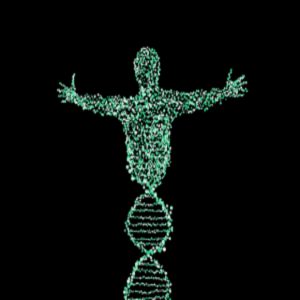 Human genome has been misinterpreted and actually consists of non-coding DNA.