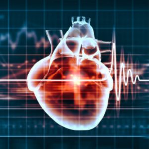 Will Miniature Human Hearts Revolutionize Drug Testing?