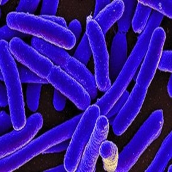 Overcoming Antibiotic Resistance | New Discoveries - BioTechniques