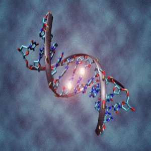 DNA methylation sequencing.