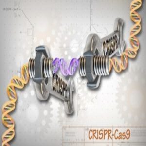 Researchers at MIT have found a new Cas9.