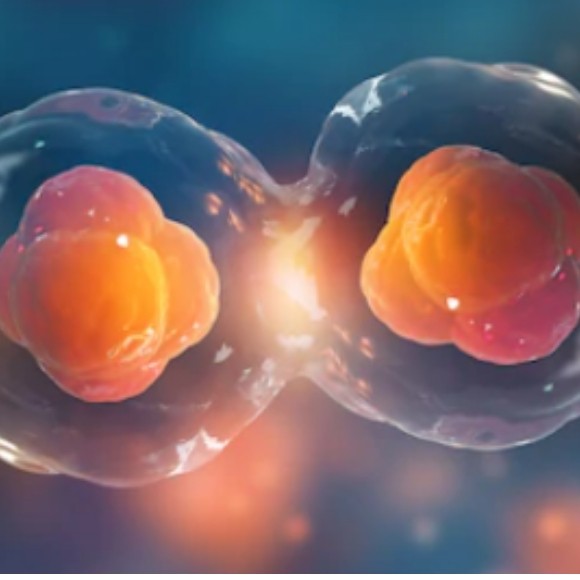 Do Identical Twins Have the Same DNA? BioTechniques