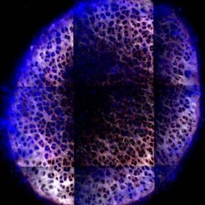 New nanoparticle for drug delivery.