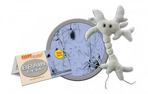 brain cell plushy