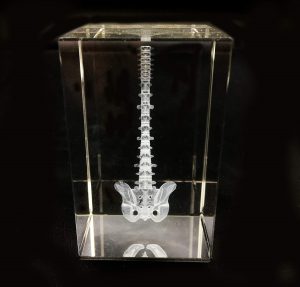 spine paperweight