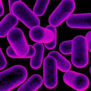 CRISPRs potential for reducing antibiotic resistance