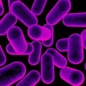 CRISPRs potential for reducing antibiotic resistance