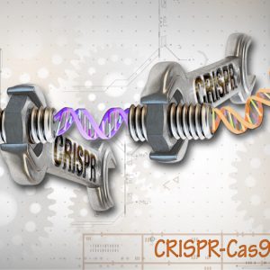 CRISPR Neurons