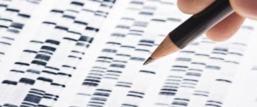 DNA sequencing