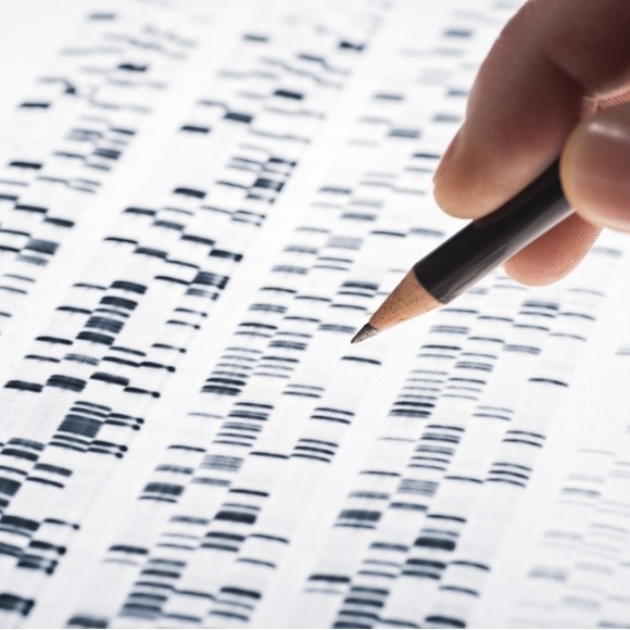 DNA seq