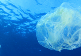 plastic in ocean