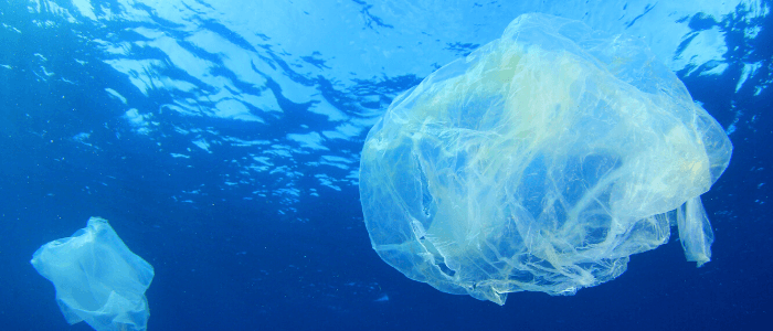 plastic in ocean