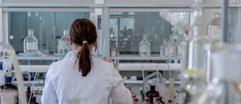 lab
