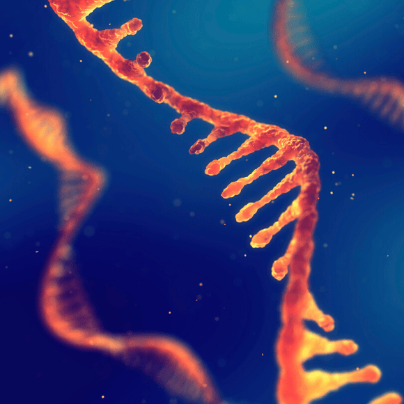 RNA sequencing in the clinic