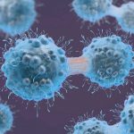 Cancer Cells