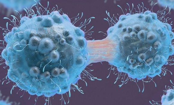 Cancer Cells