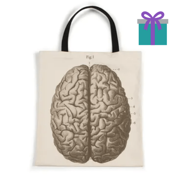 brain bag
