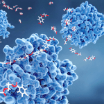 kinase activity