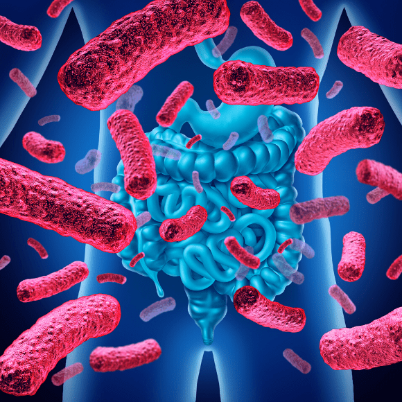 Novel Findings May Lead to Cure for C. diff - BioTechniques