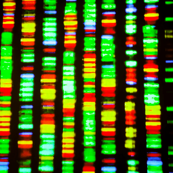 DNA sequencing data