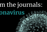 coronavirus-related publications