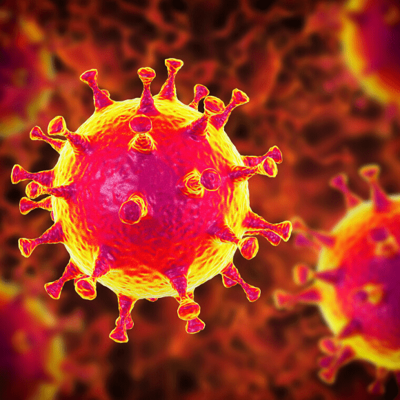 coronavirus