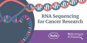 Rna Sequencing Library Preparation And Construction Biotechniques Rna Sequencing Library Preparation And Construction Biotechniques