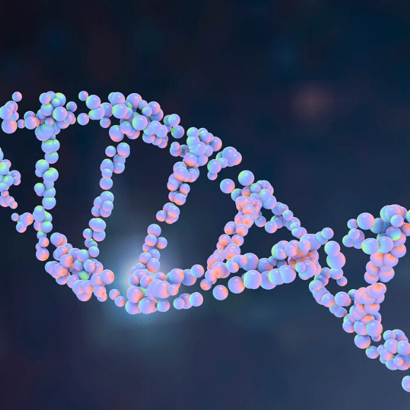 SARS-CoV-2 genome