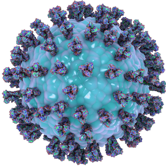 COVID-19 cytokine storm