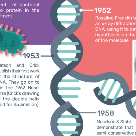 DNA Discovery