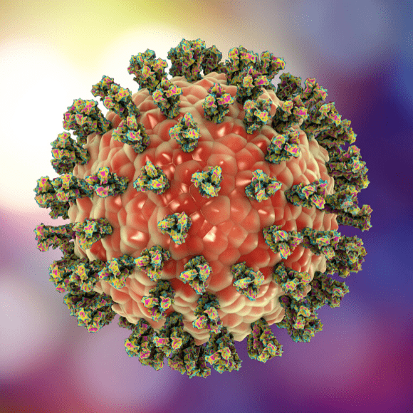 Microsetta Coronavirus