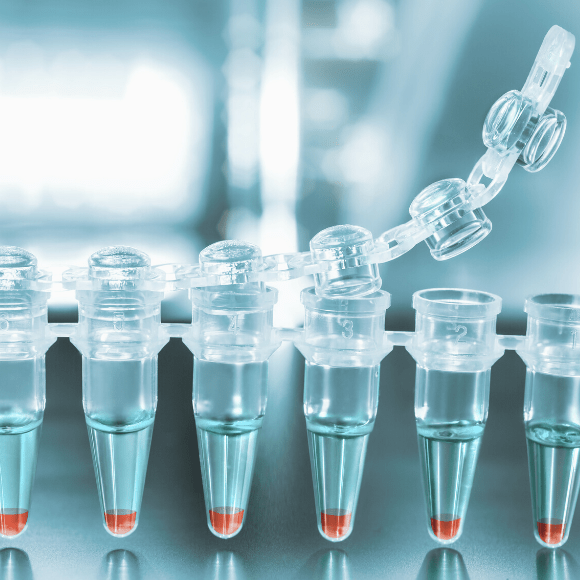 corona PCR tests