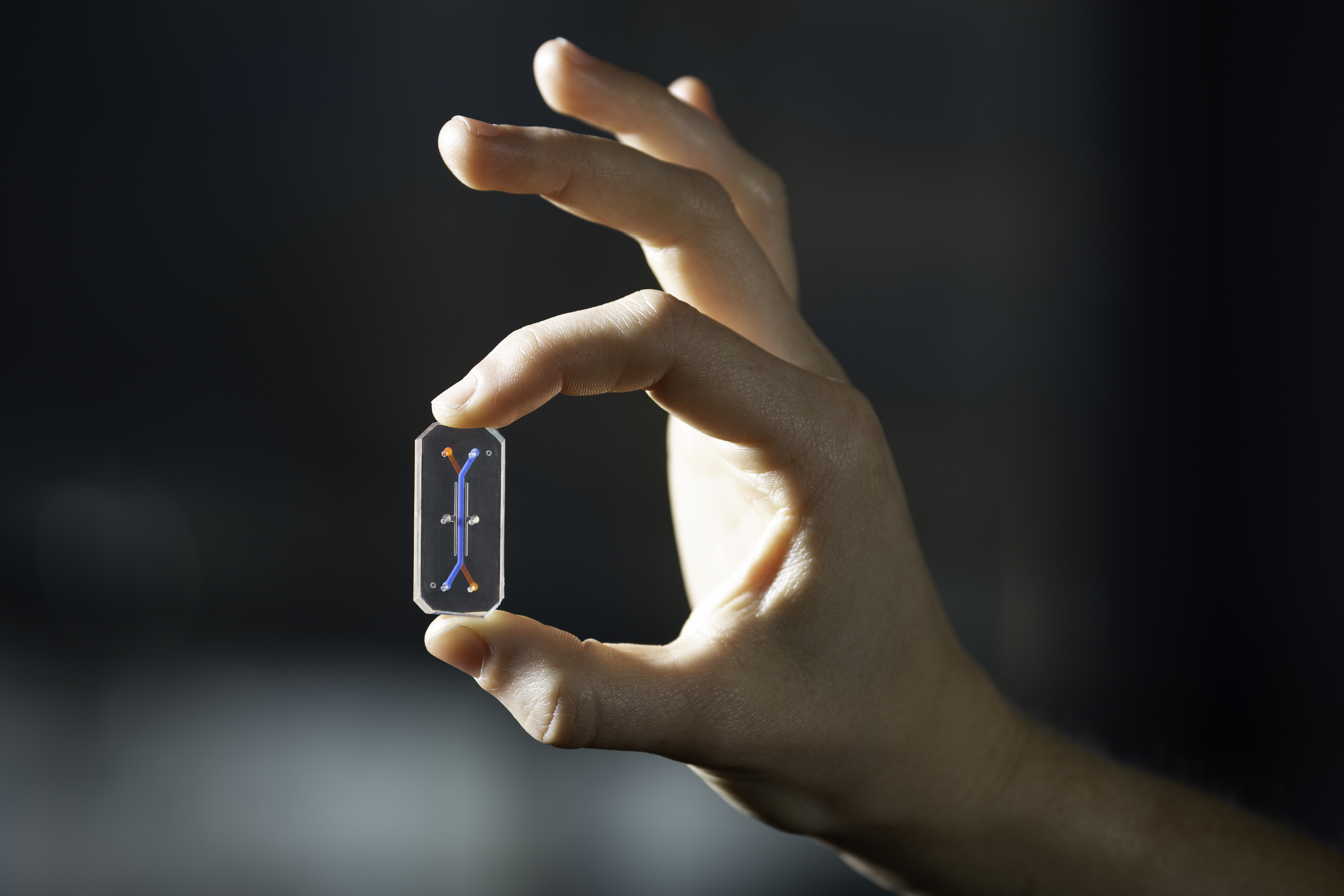 organ-on-a-chip