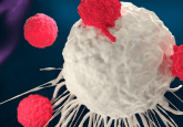 cancer vaccine and immunotherapy