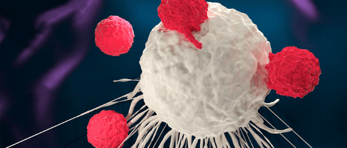 cancer vaccine and immunotherapy