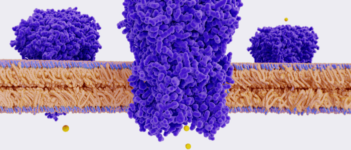 self-assembling ion channels