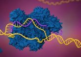 CRISPR gene editing