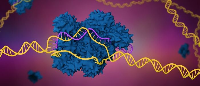 CRISPR gene editing