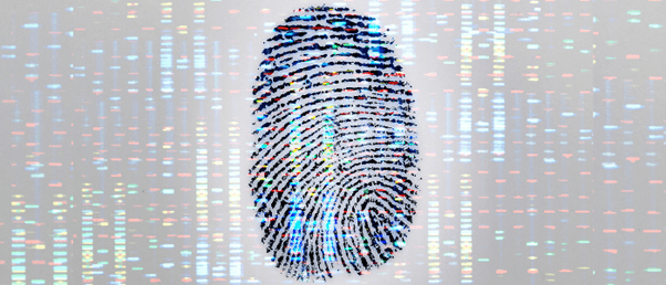 Styrke Føde Giraf Protecting DNA Fingerprinting With Genetic Barcodes - BioTechniques