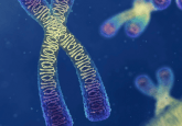 chromosome sex differences in disease