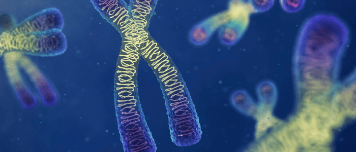 chromosome sex differences in disease