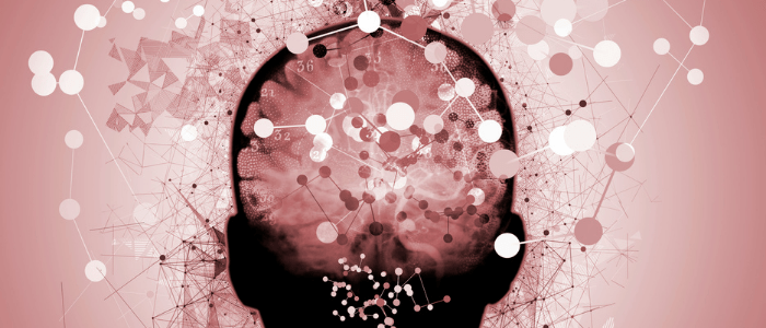 Serotonin developing brain