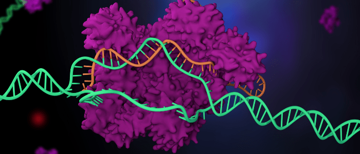 CRISPR COVID-19